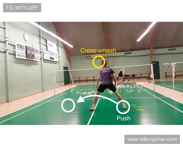 武汉羽毛球队区域防守战术解析与实战应用探讨 武汉羽毛球队区域防守战术解析与实战应用探讨