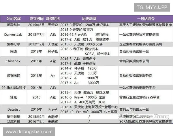 深入分析武汉篮球队的运营策略与市场推广模式