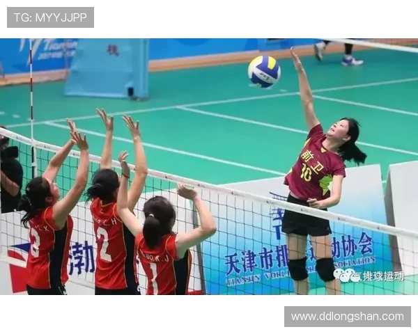 武汉排球队技术揭秘：排球巨献背后的训练与战术分析