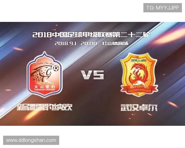 武汉足球队防守分析：优缺点与未来改进方向探讨