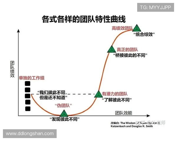 深入探讨上海排球队的战术配合与团队协作的关键因素分析