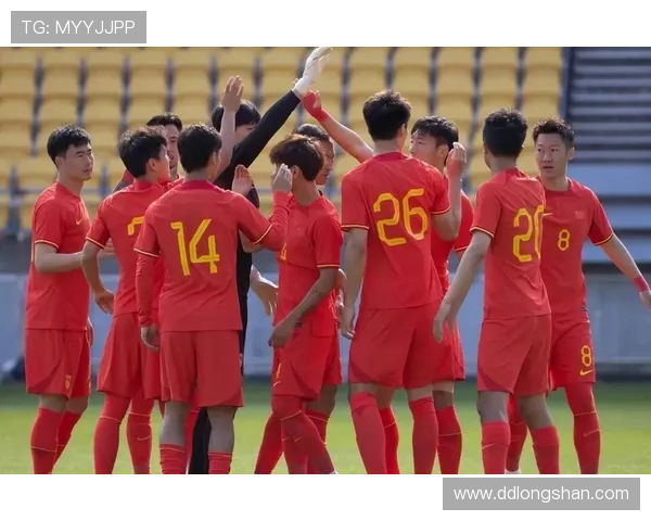 重庆羽毛球队在世界杯预选赛中的团队协作表现分析与点评